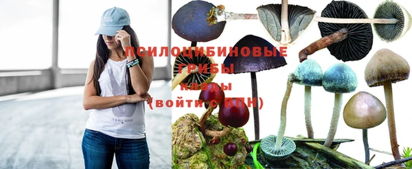 метадон Беломорск